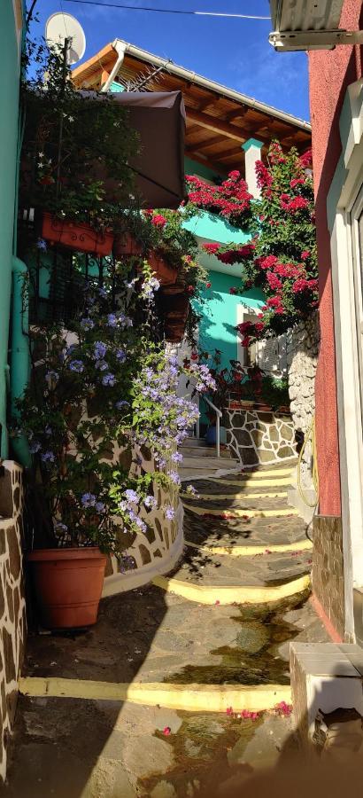 Alkinoos Apartment Agios Matthaios  Exterior photo
